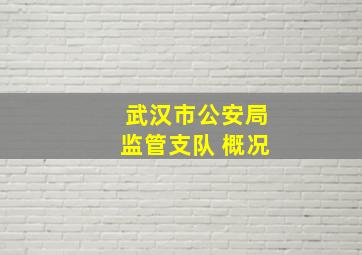 武汉市公安局监管支队 概况